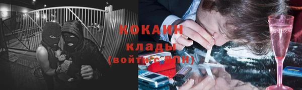 хмурый Алексин