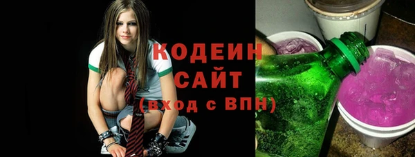 хмурый Алексин