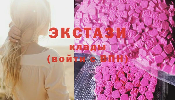хмурый Алексин