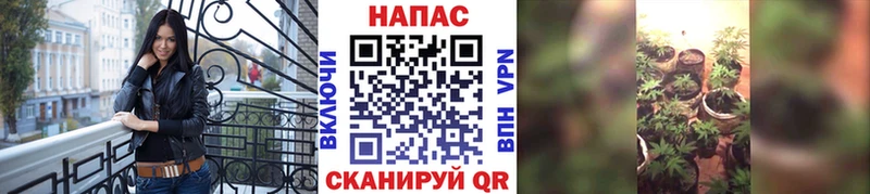 МАРИХУАНА гибрид  Зеленоградск 